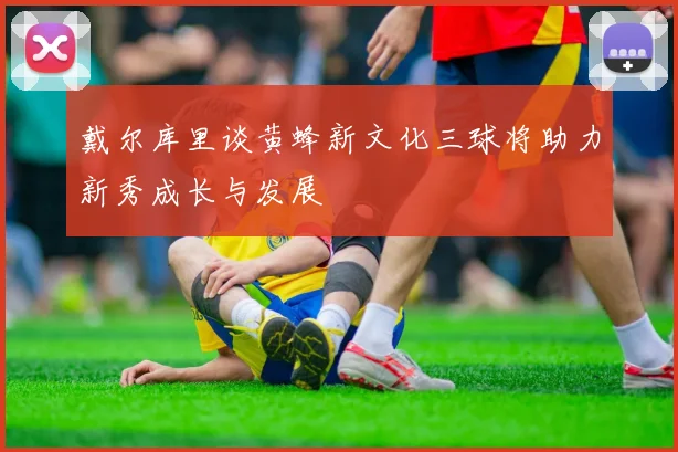 戴尔库里谈黄蜂新文化三球将助力新秀成长与发展